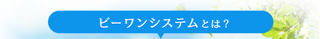 ビーワンシステムとは？